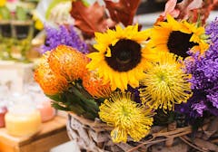 Sunflowers mixed with orange, purple and yellow accent flowers