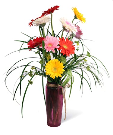 Best Selling Uniontown (PA) Flowers, Plants, Gifts - Newbauer's Flowers