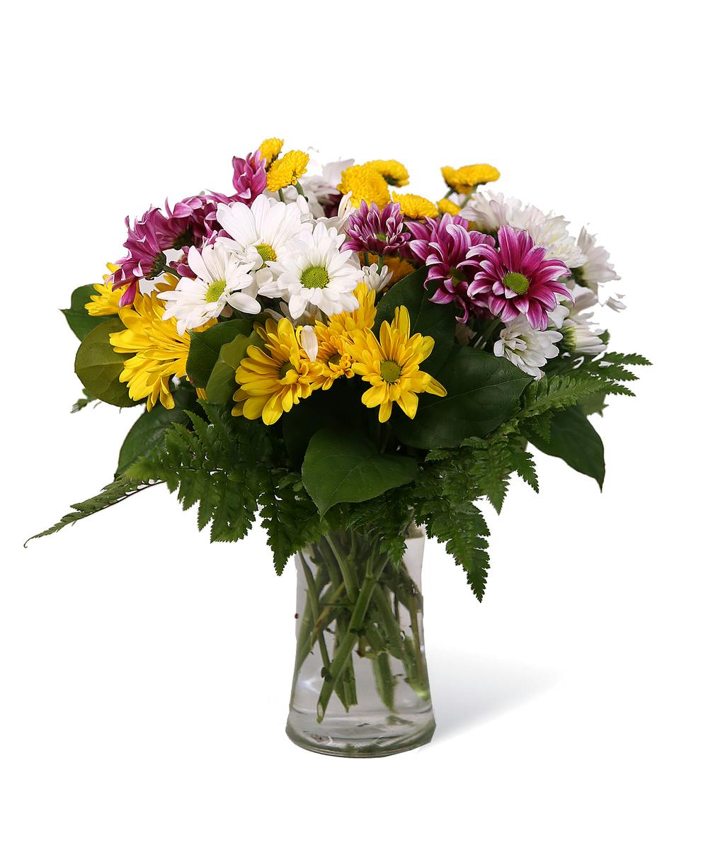 All About Daisy Neubauer's Flowers UniontownArea Floral Delivery (PA)