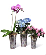 Flower Market Galvanized Bucket Set