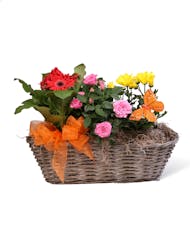 Petite Blooming Basket