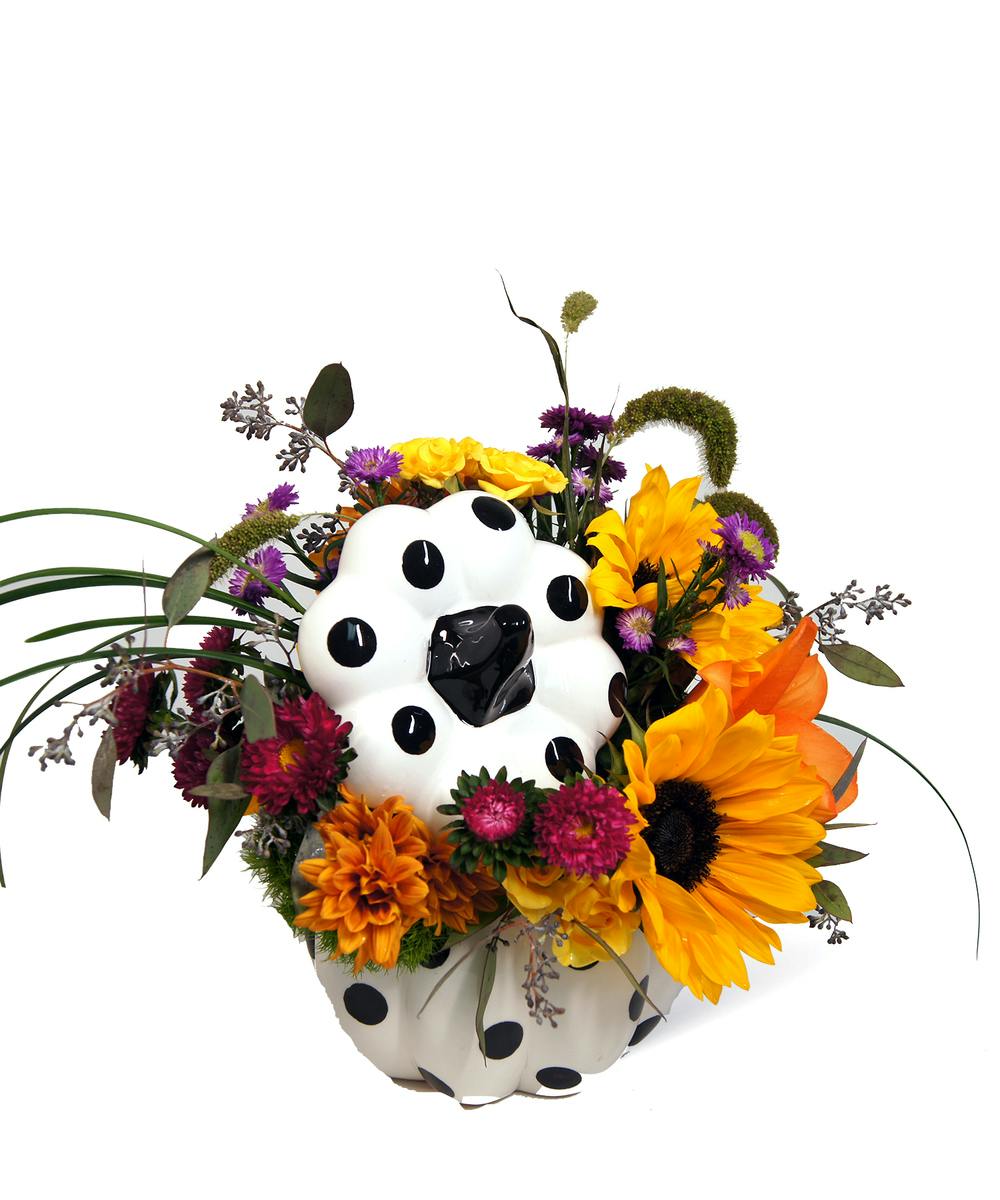 Polka Dot Pumpkin Neubauer's Flowers