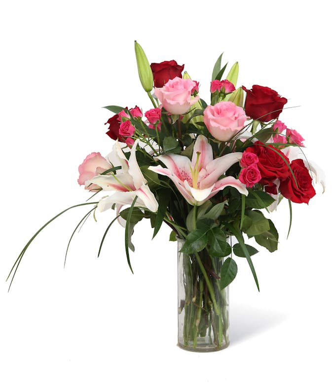 Five Dozen Roses - Neubauer's Flowers