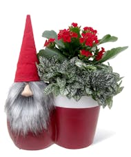 Tomte the Gnome